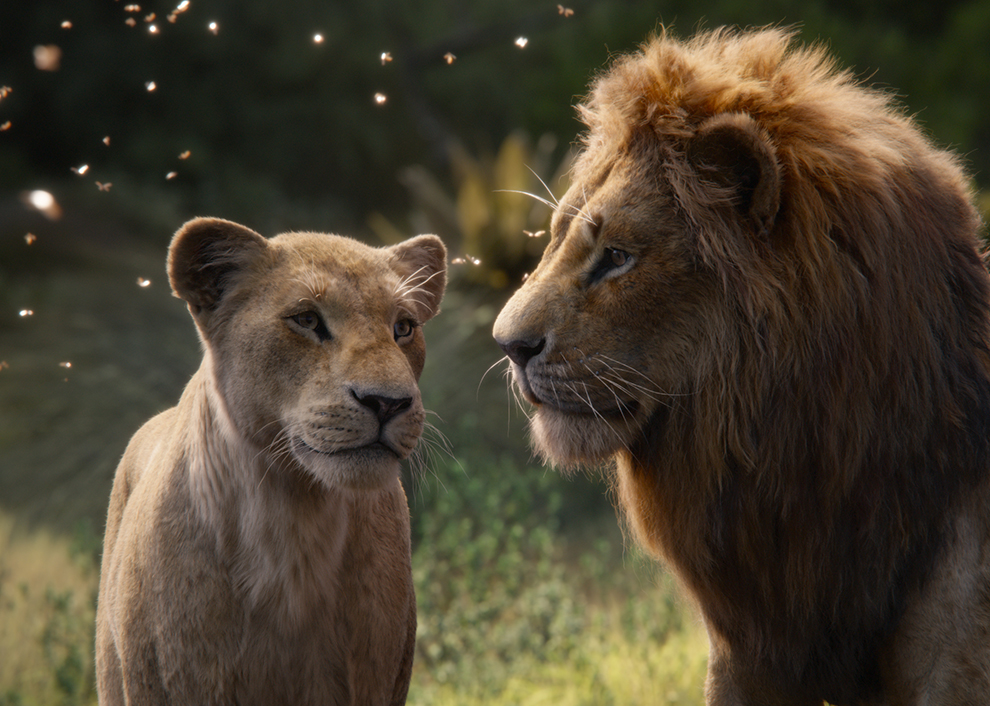 Новый «Король Лев»: что нужно знать о фильме